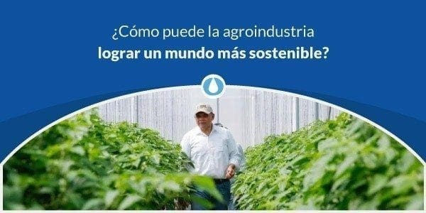 ¿Cómo puede la agroindustria lograr un mundo más sostenible?