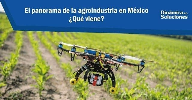 El panorama de la agroindustria en México. ¿Qué viene?