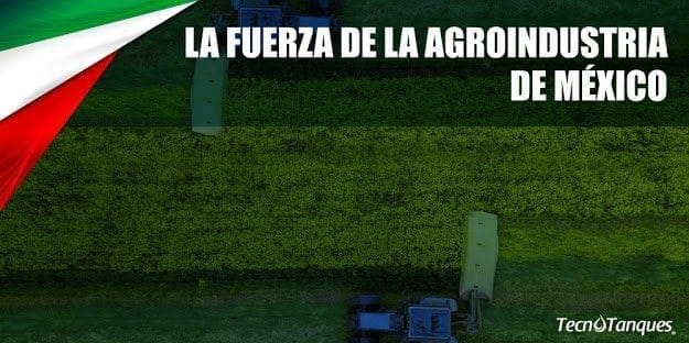 La fuerza de la agroindustria de México.