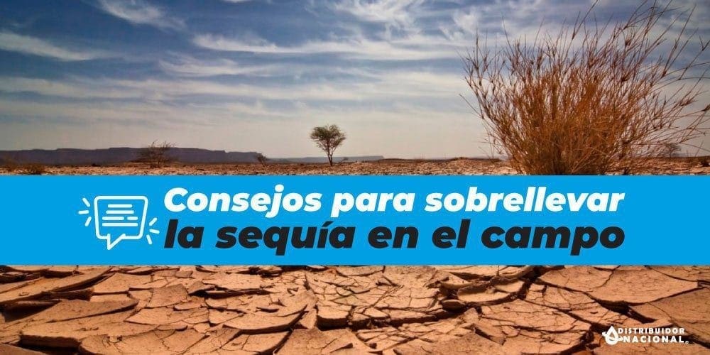 sequia-en-el-campo