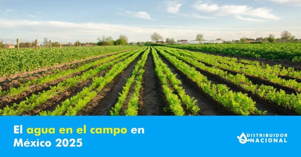 el-agua-en-el-campo-2025